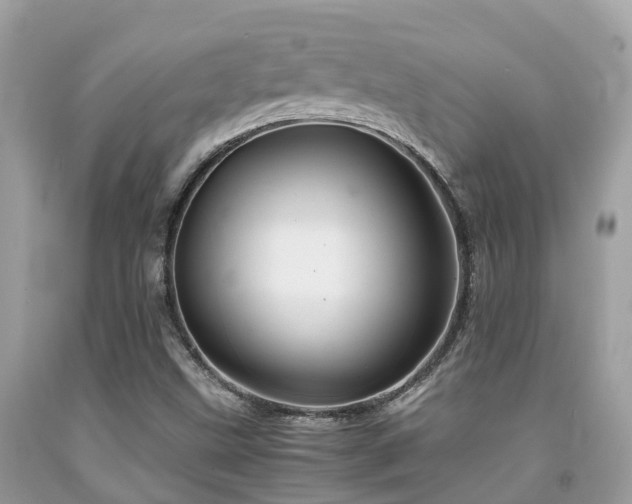 X0000091961499200709061250