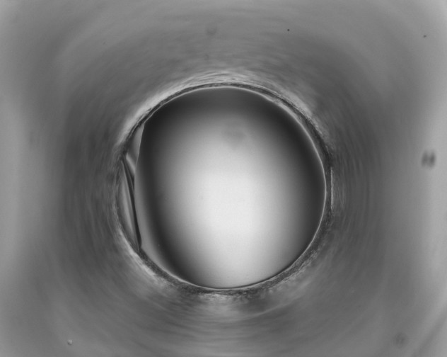 X0000091961500200709061250