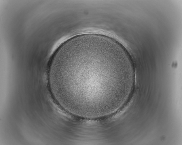 X0000091961501200709061250