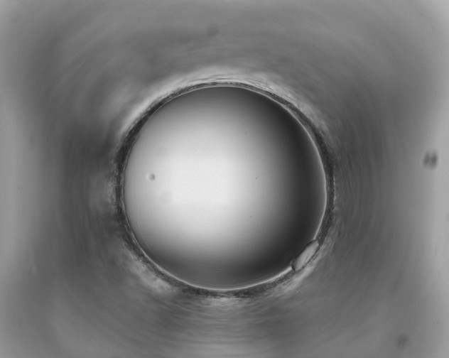 X0000091961502200709061250