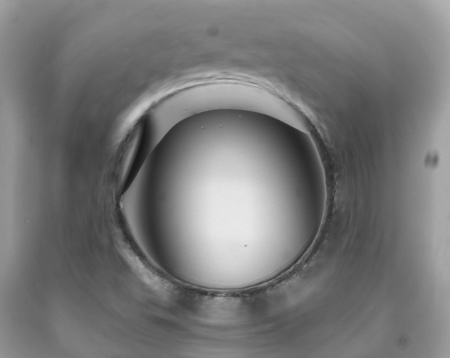 X0000091961503200709061251