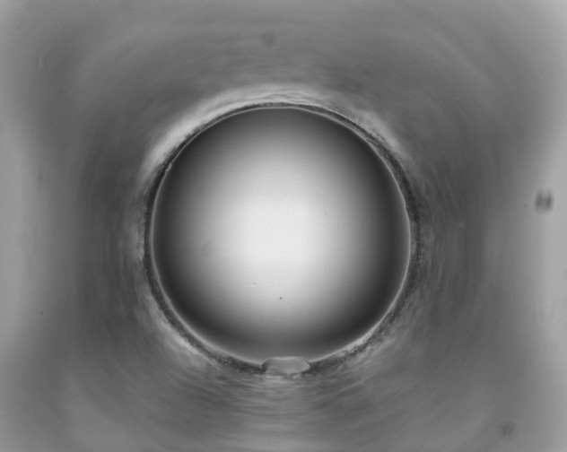 X0000091961504200709061251