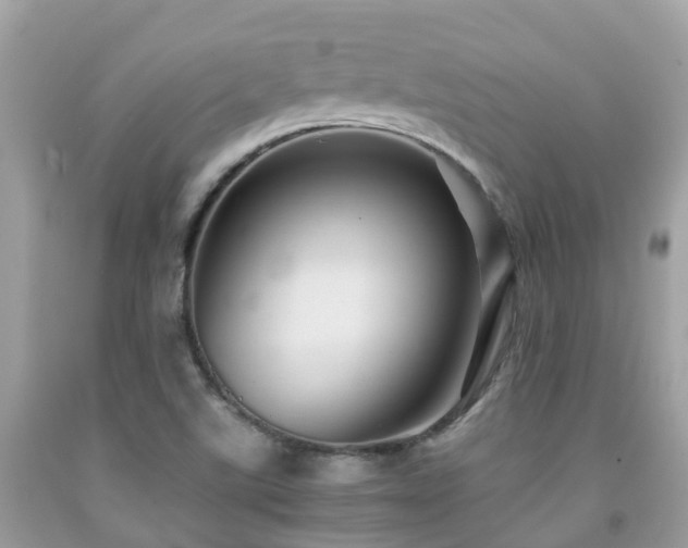 X0000091961507200709061251