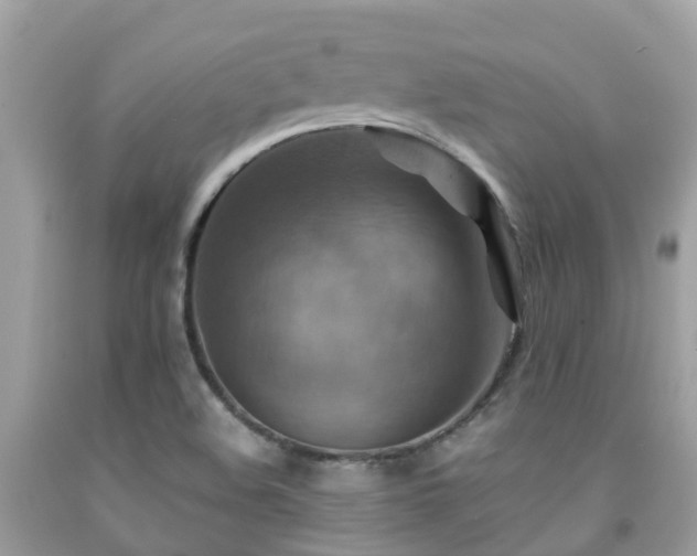 X0000091961508200709061251