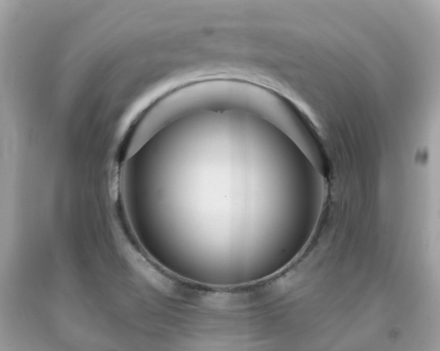 X0000091961510200709061251