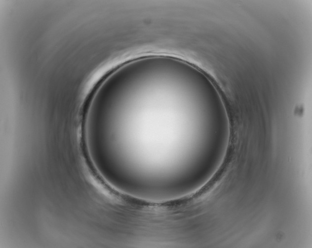 X0000091961511200709061251