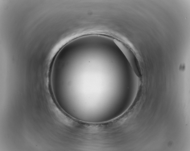 X0000091961512200709061251