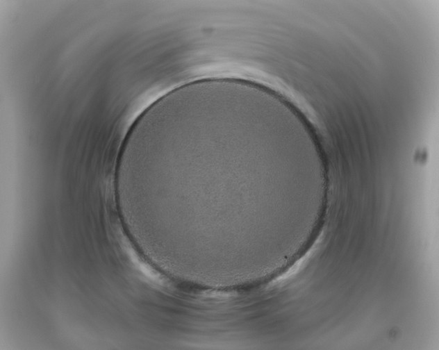 X0000091961513200709061251