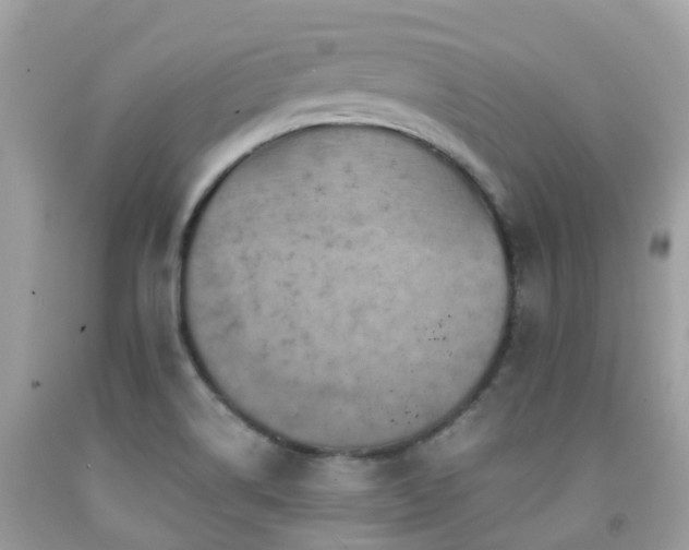 X0000091961514200709061251