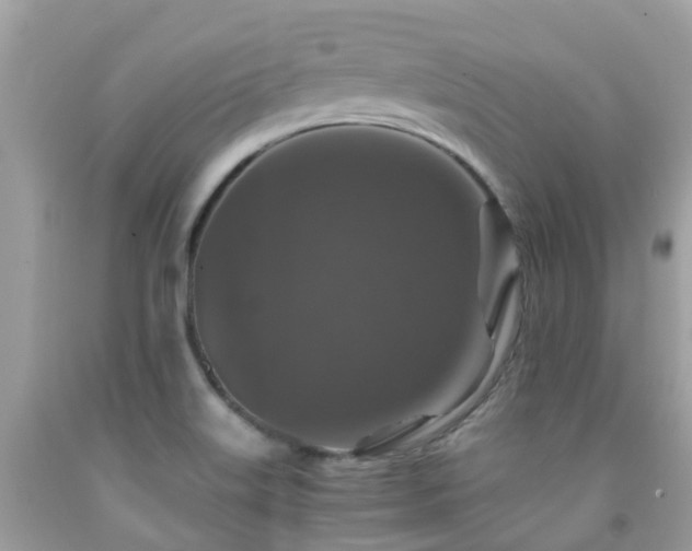 X0000091961515200709061251