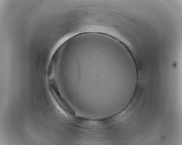 X0000091961517200709061251