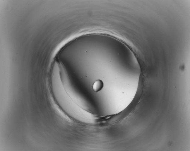 X0000091961518200709061251