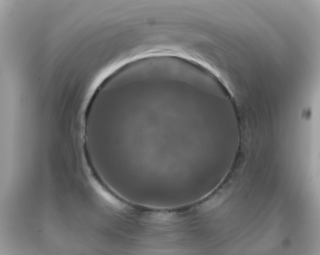 X0000091961519200709061251