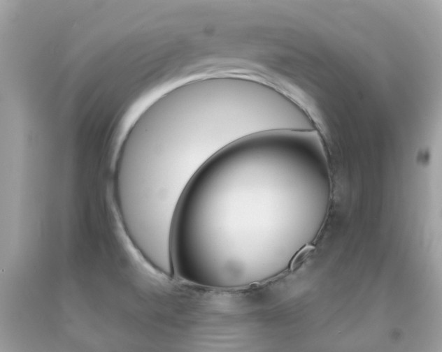 X0000091961520200709061251