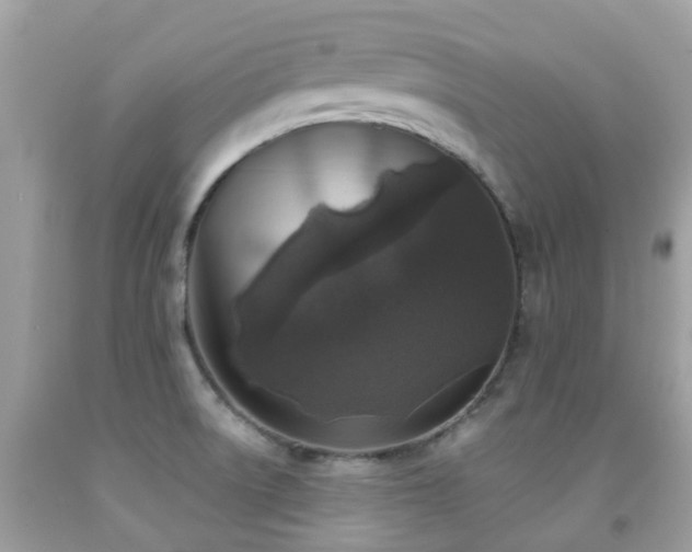 X0000091961522200709061251