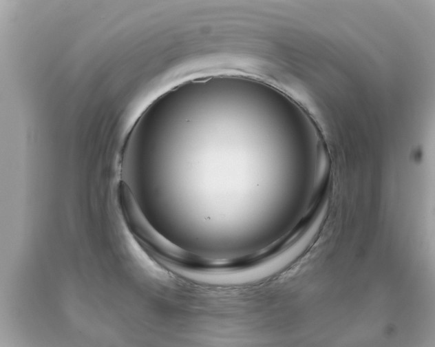 X0000091961524200709061251