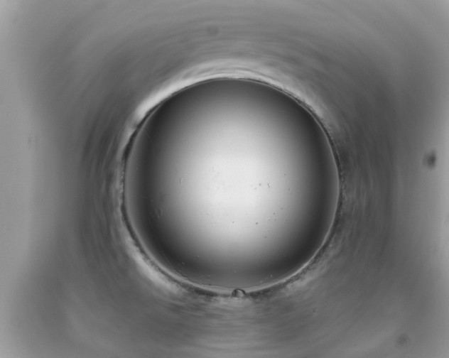 X0000091961526200709061251