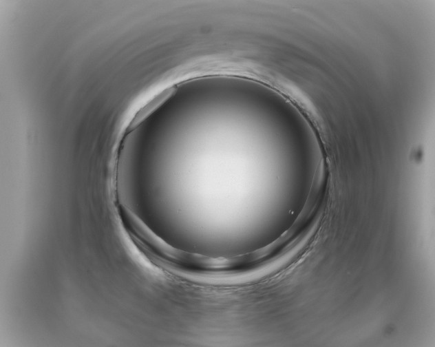 X0000091961528200709061251