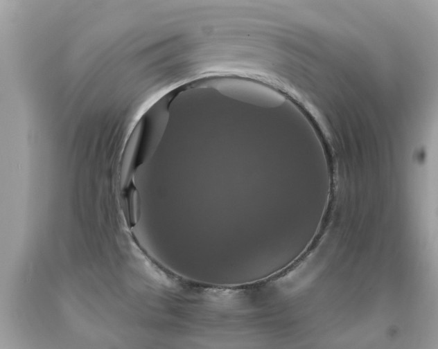 X0000091961529200709061251