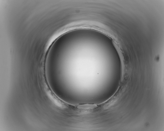 X0000091961530200709061251