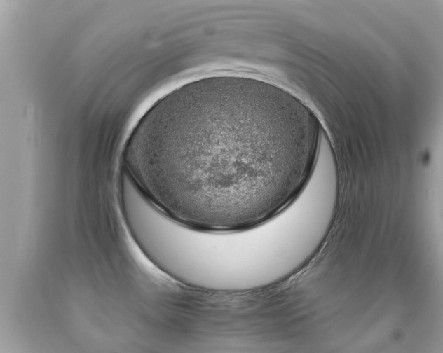 X0000091961531200709061251
