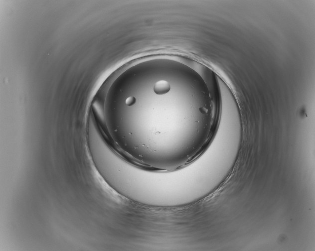 X0000091961532200709061251