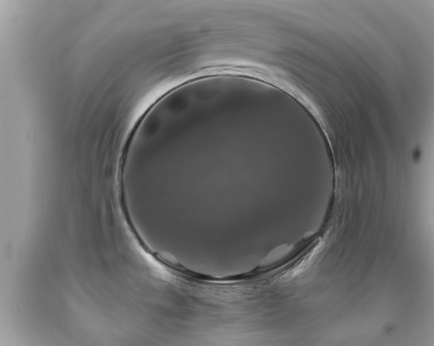 X0000091961533200709061251