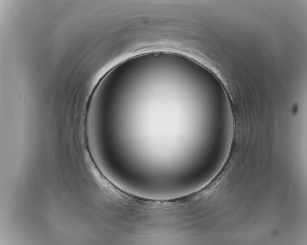 X0000091961534200709061251