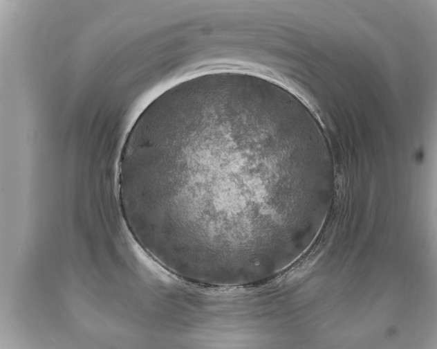 X0000091961535200709061251