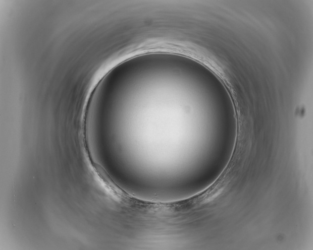 X0000091961536200709061251