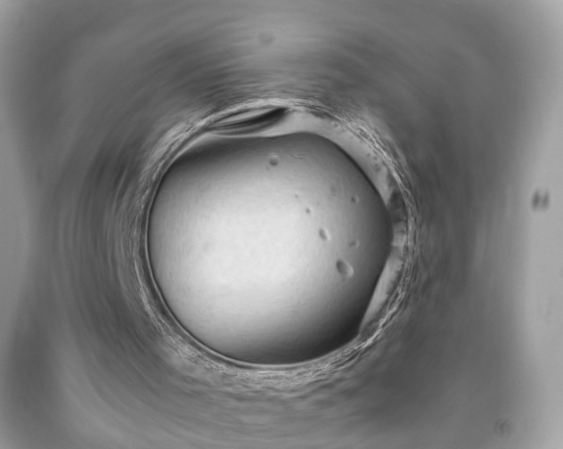 X0000091960001200709131236