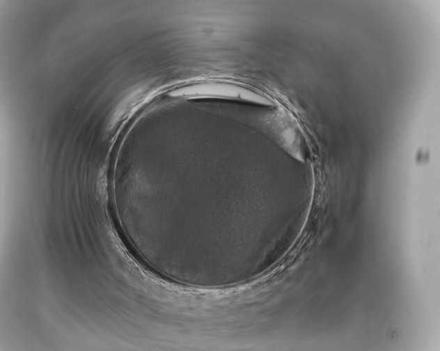 X0000091960002200709131236