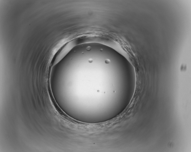 X0000091960003200709131236