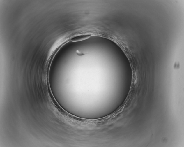 X0000091960004200709131236