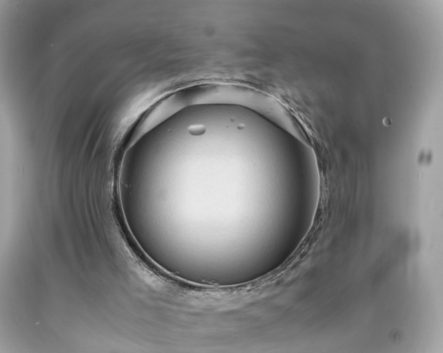 X0000091960005200709131236