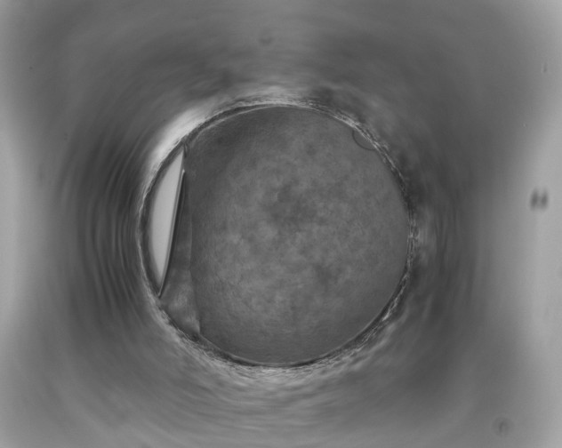 X0000091960006200709131236