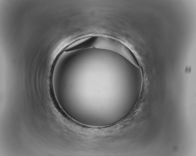 X0000091960007200709131236