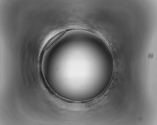 X0000091960008200709131236