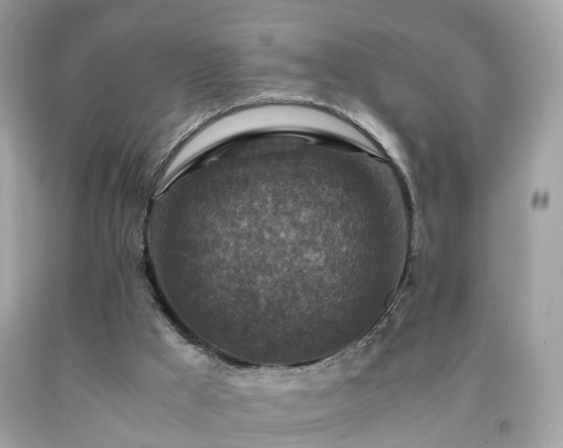 X0000091960009200709131236