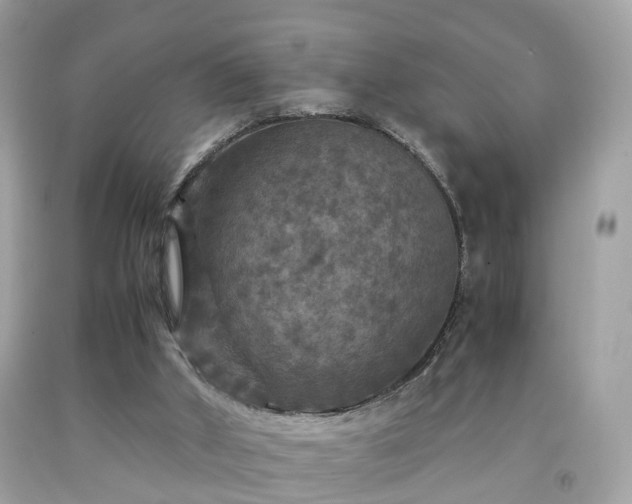 X0000091960010200709131236