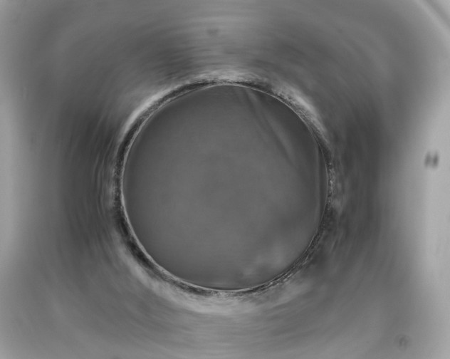 X0000091960012200709131236