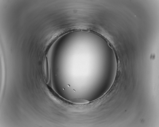 X0000091960013200709131236