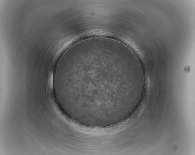 X0000091960014200709131236