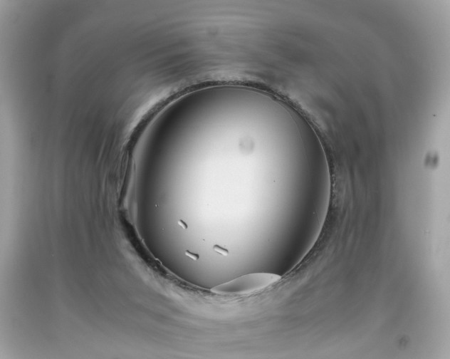 X0000091960015200709131236