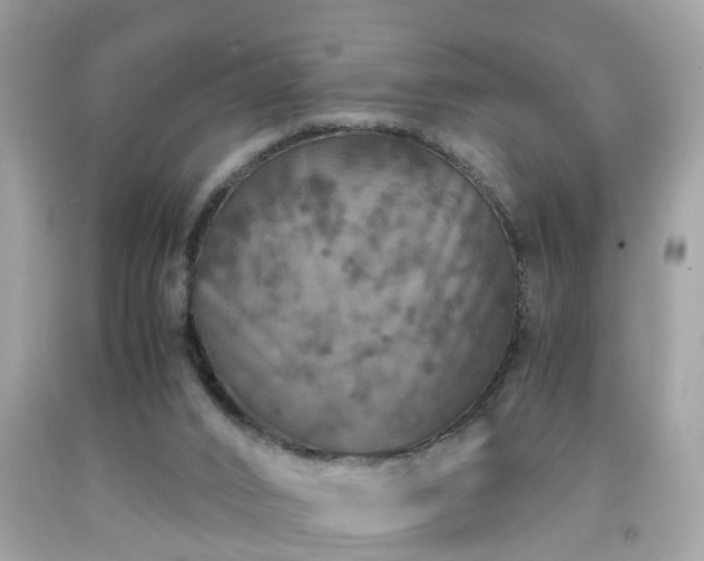 X0000091960016200709131236