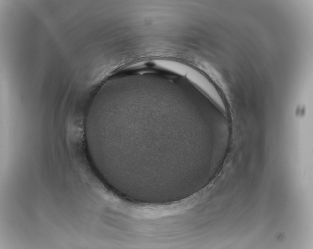 X0000091960017200709131236