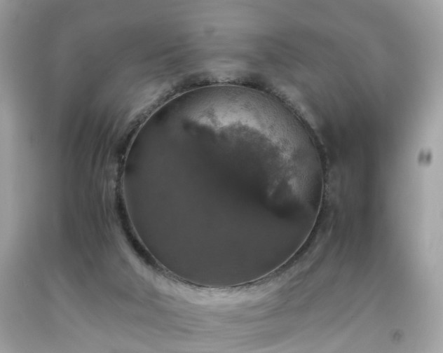 X0000091960018200709131236