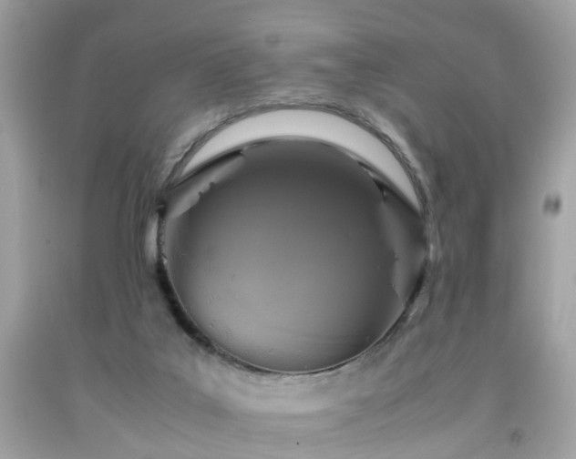 X0000091960019200709131236