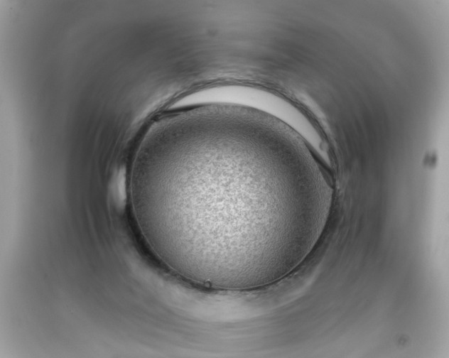 X0000091960020200709131236