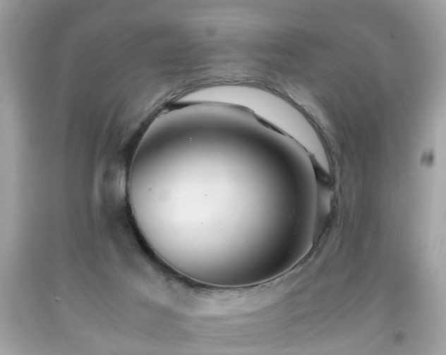 X0000091960021200709131236